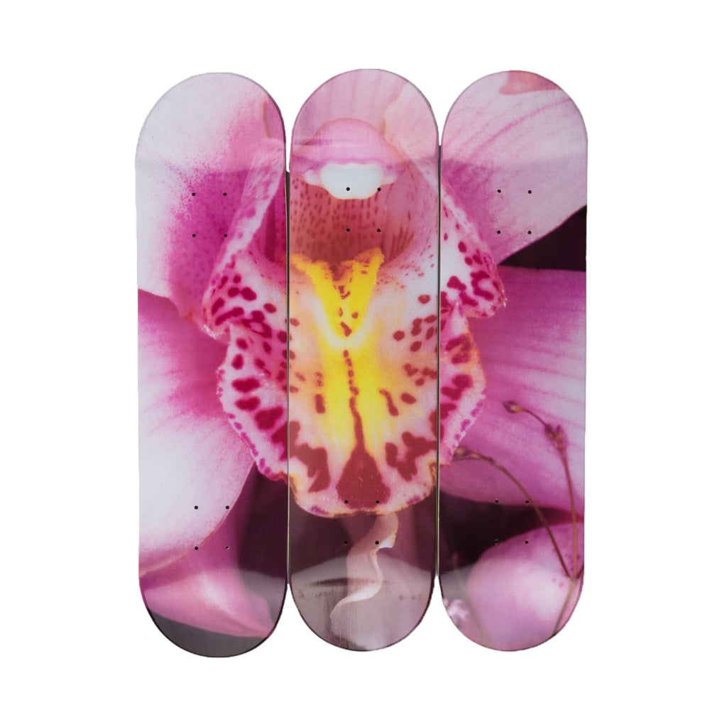 Nobuyoshi Araki "Orchid"